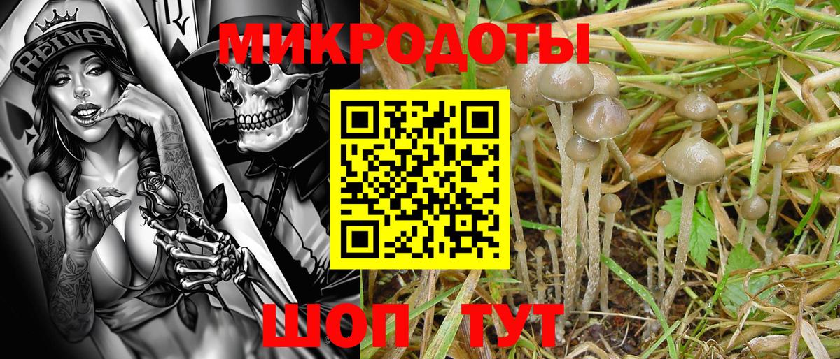 Галлюциногенные грибы MAGIC MUSHROOMS Азов