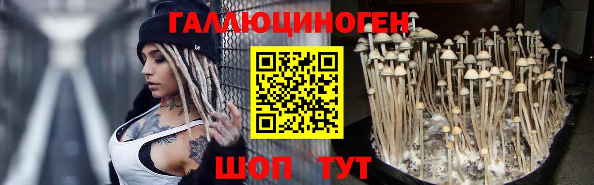 Галлюциногенные грибы GOLDEN TEACHER  Вход с VPN  Азов 